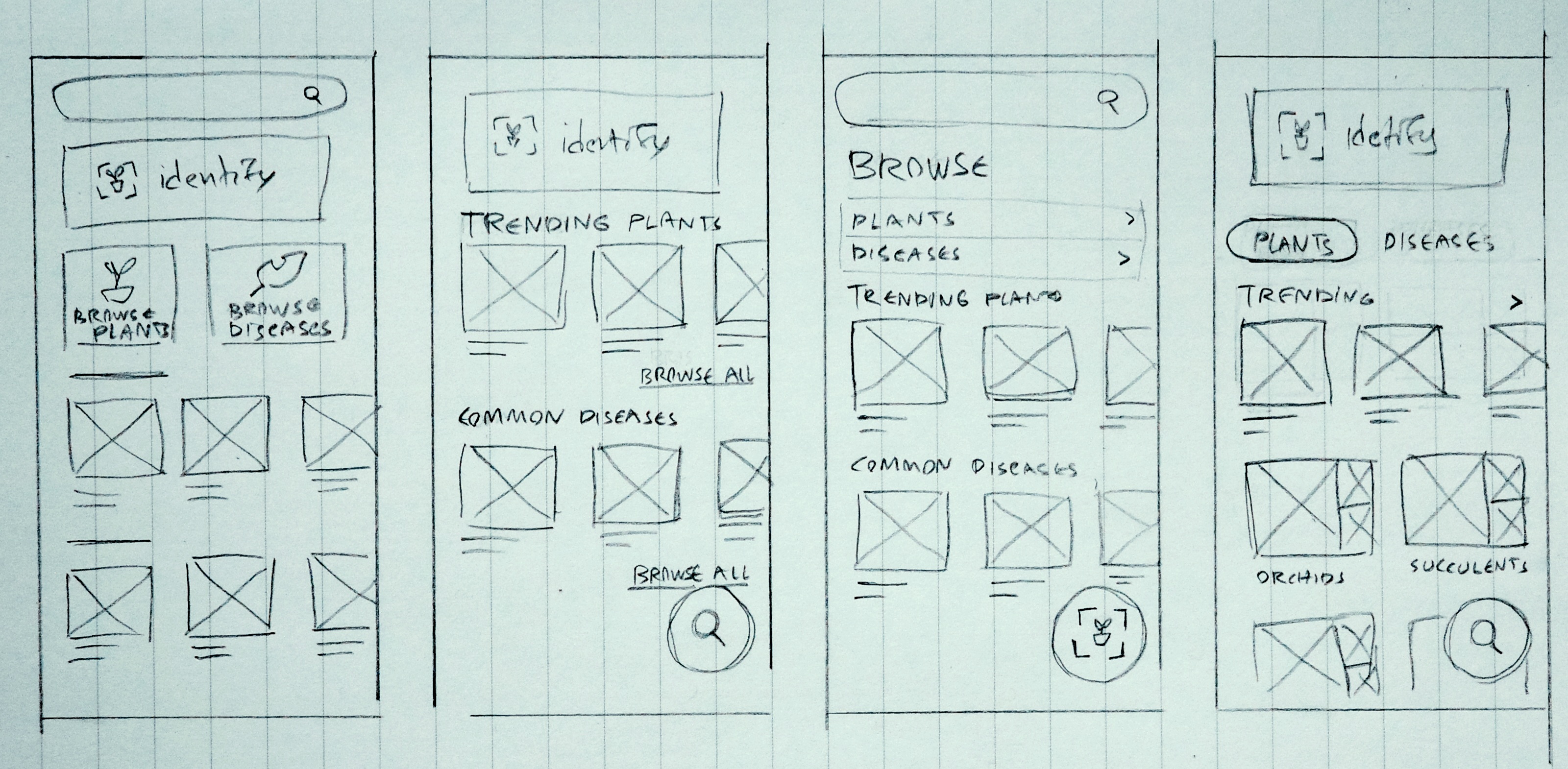 Wireframe iterations of the Search page